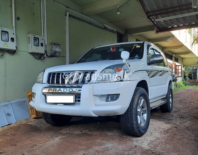 Prado 120 Crash Bar for sale