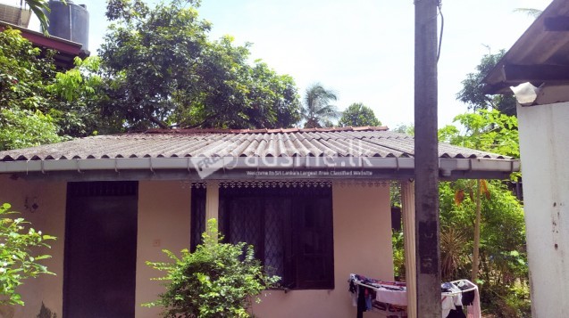 Property With 3 Houses In Mahara Junction Kadawatha