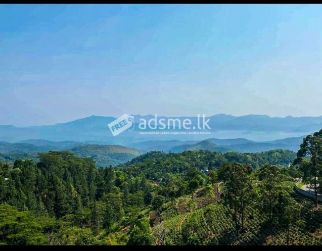 Land for sale in belwood