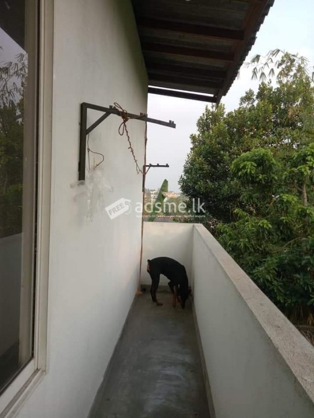 upper floor annex for rent