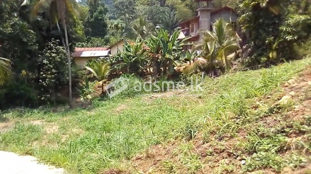 Land for sale in Ratnapura