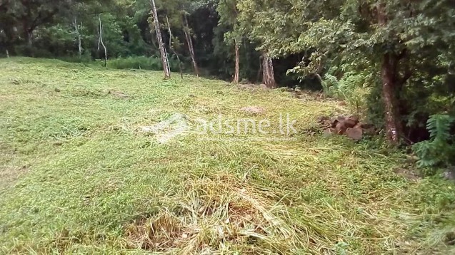 Land for sale in Ratnapura
