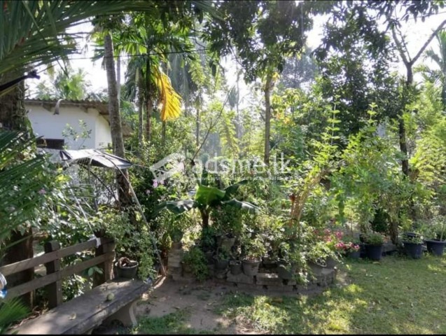 land for sale in malabe