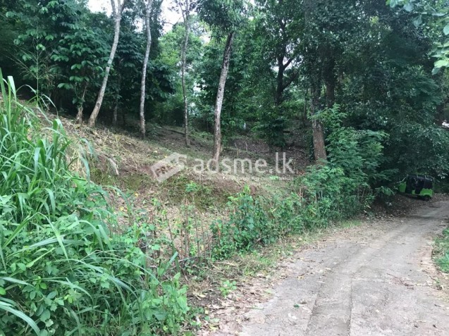 ඉඩමක් විකිණීමට