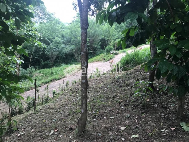 ඉඩමක් විකිණීමට