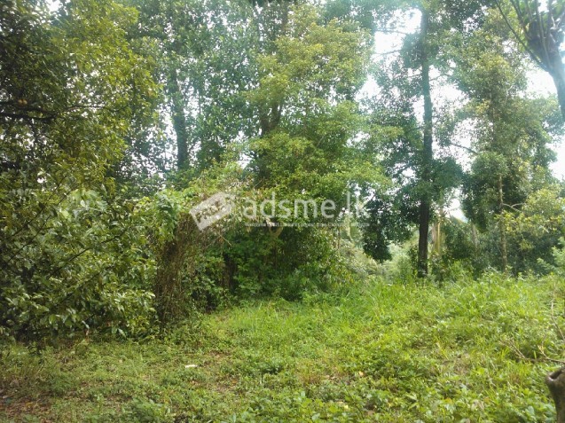 Land for sale hadeniya