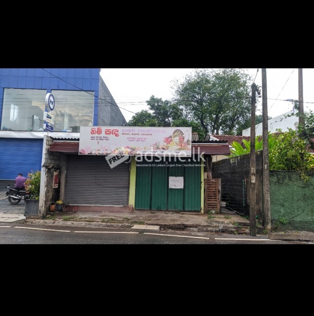 Land, house, shop for rent