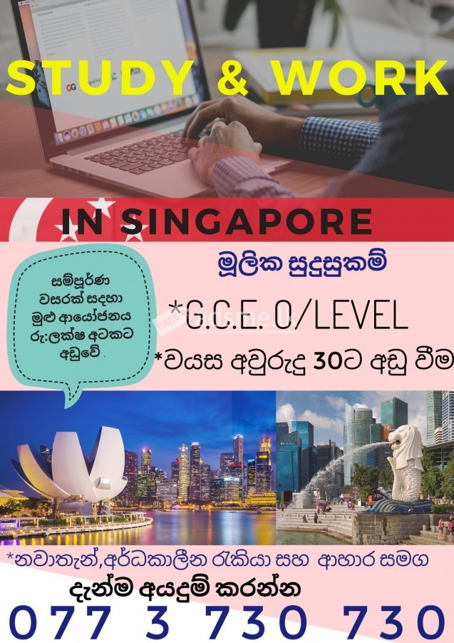Study & work visa to Singapore