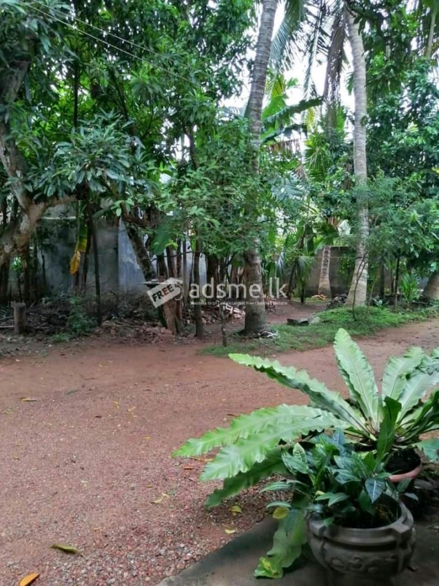 House for Sale in Pethiyagoda, Kelaniya