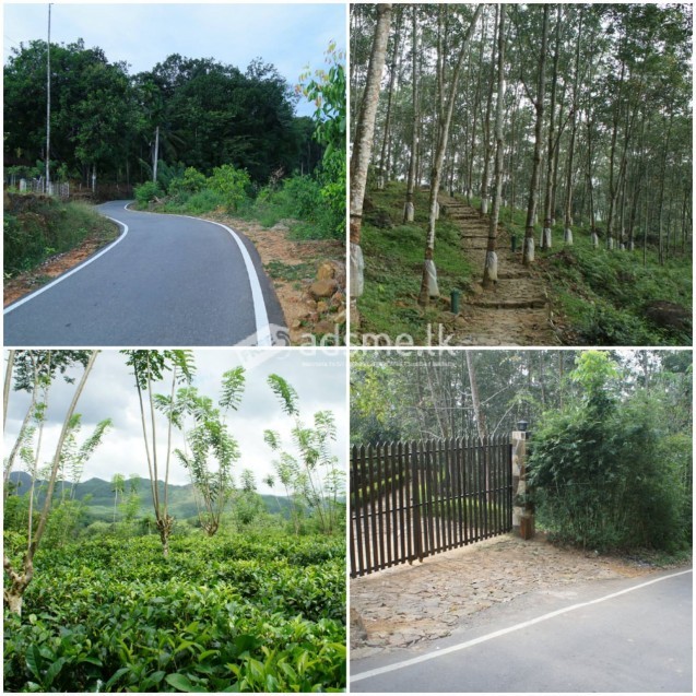 Holiday resort and Tea/Rubber Estate for sale