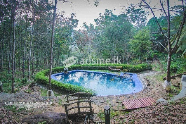 Holiday resort and Tea/Rubber Estate for sale
