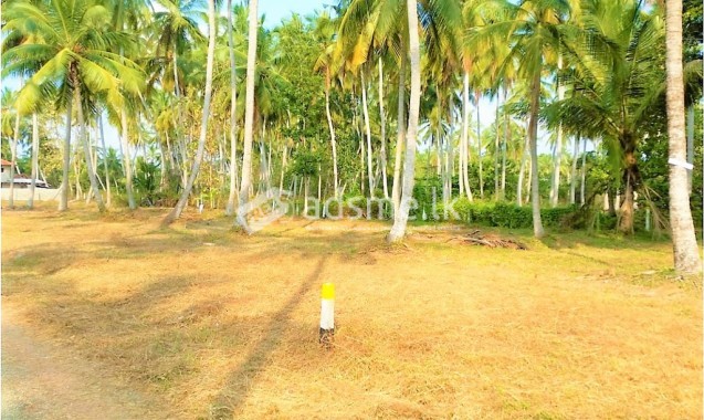 Land for sale in Pambala Face to Puttlam- Colombo main road