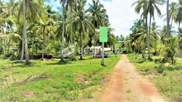Land for sale in Pambala Face to Puttlam- Colombo main road