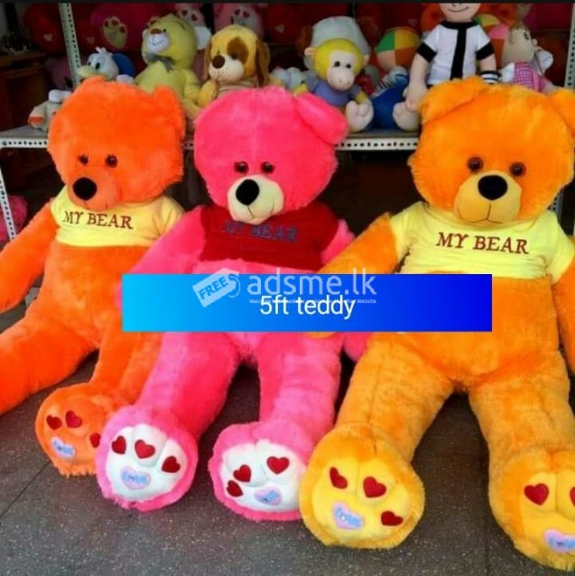 5ft teddies