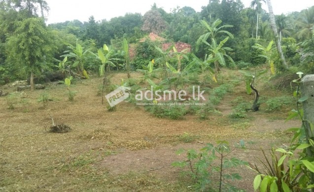 land for sale near hingurakgoda