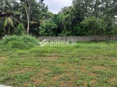 A land for rent or lease in Naula