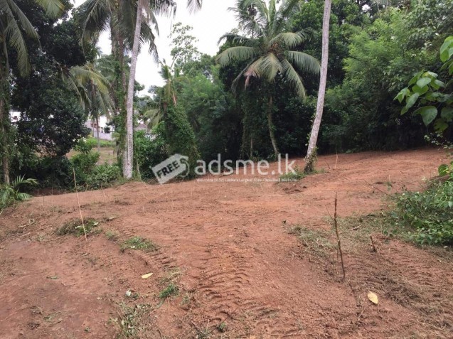 Valuable Land for Sale  - Malabe (Salmal Uyana)