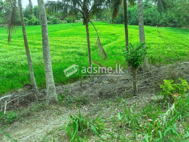 Land for sell Urgently!!