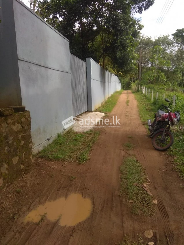 Land for sale in Kaluaggala
