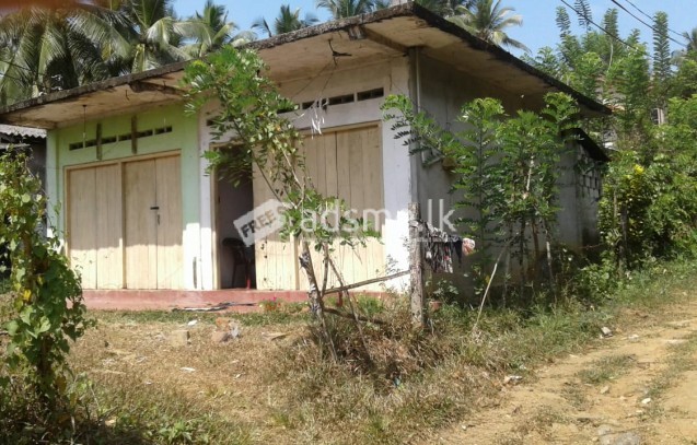 Commercial Property For Sale In Dombagoda - Horana