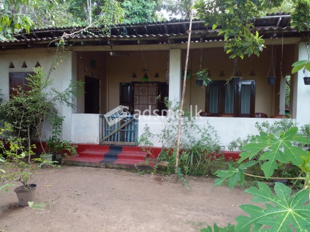 HOUSE WITH LAND FOR SALE