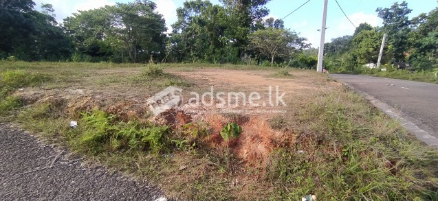 Land for Sale in Pasyala