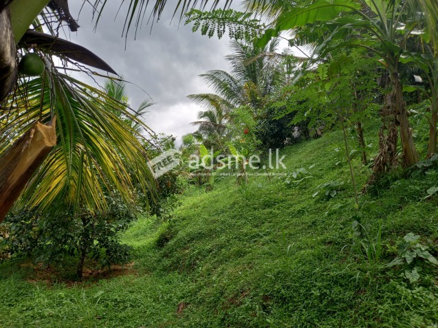 Land for sale in Horana (80 Perches)