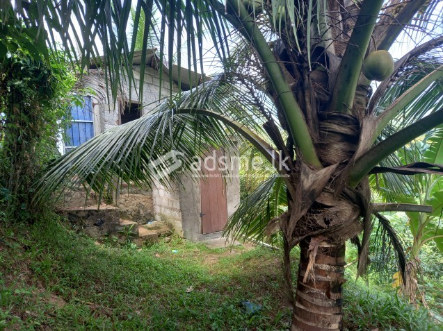 Land for sale in Horana (80 Perches)