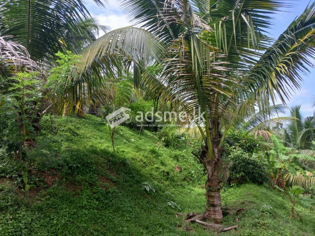 Land for sale in Horana (80 Perches)