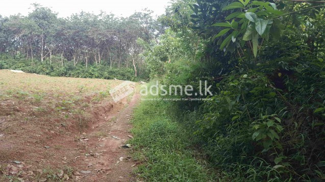 Land for sale in dompe area