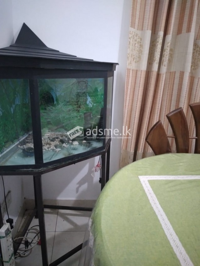 FISH TANK with COMPLETE SET