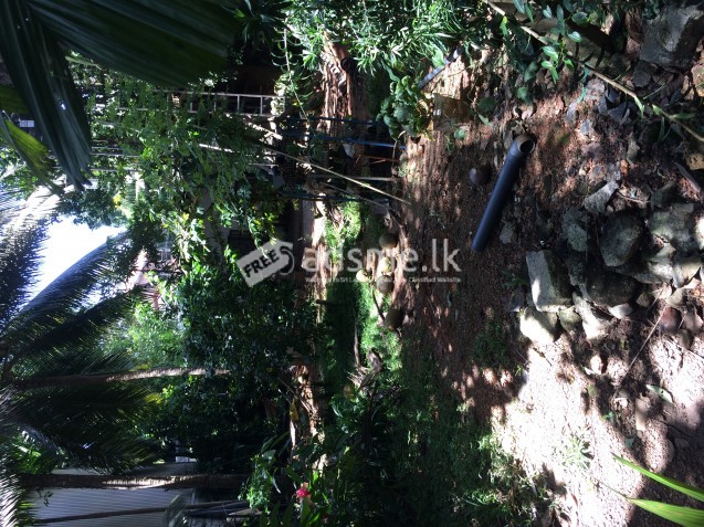 Land for sale in Alwis Town Wattala