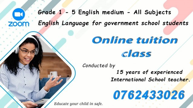 Online teaching for International and Government school students
