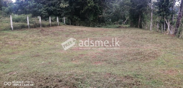 Land For Sale In Horana -Kumbuka