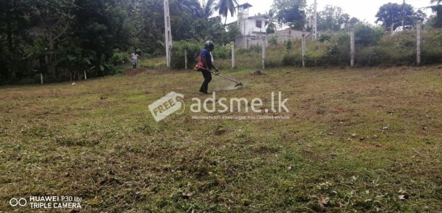 Land For Sale In Horana -Kumbuka