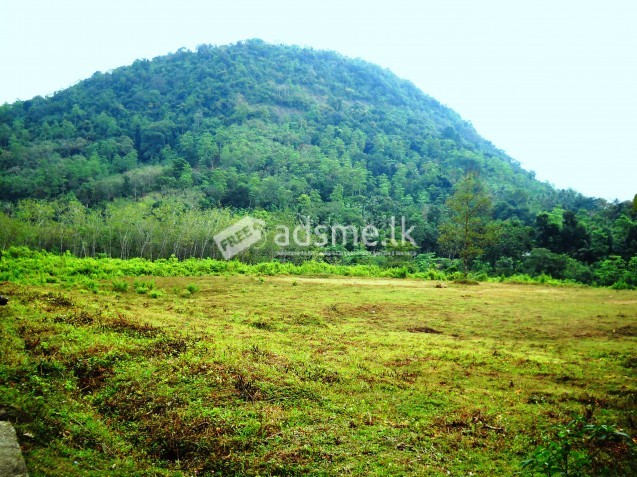 42 p land for sale