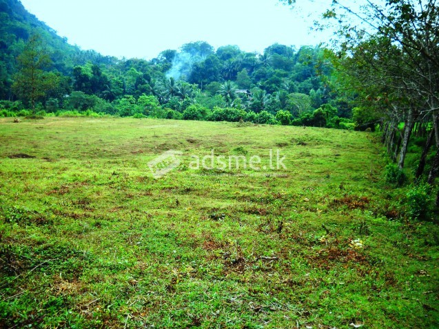 42 p land for sale