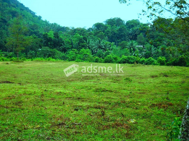42 p land for sale
