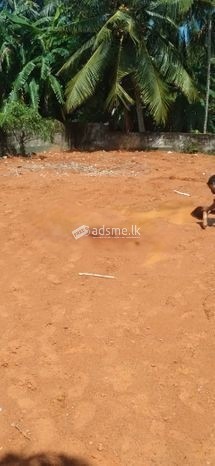 A Valuable Land for Sale in Gorakana - Panadura