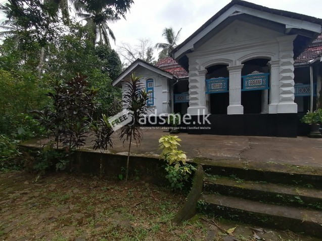 Perches 236 Bungalow for sale. Urgent! Can be negotiate for a reasonable price.