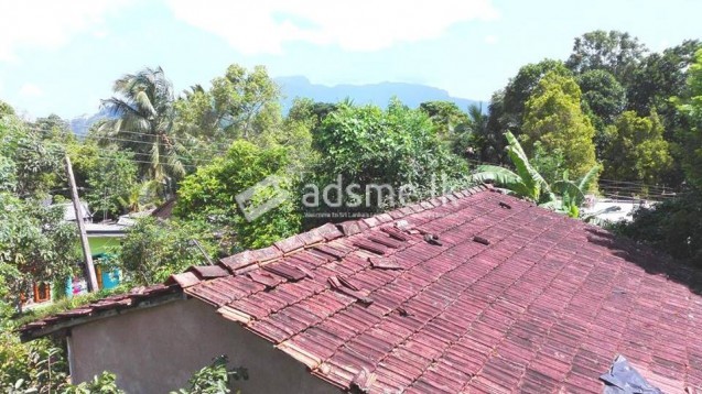 Old House with Land for Sale