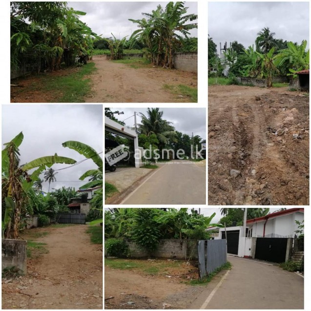 Land for sale in Maththumagala, Mahabage