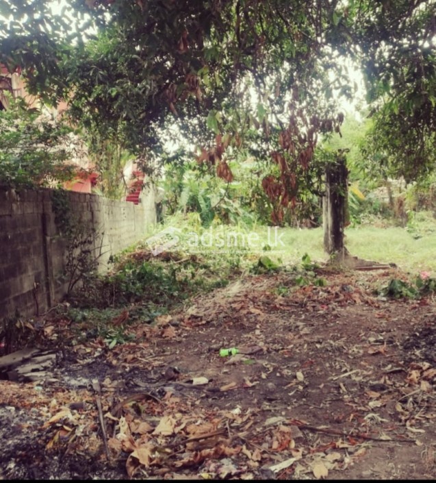 Valuable Land from Wattala for quick sale