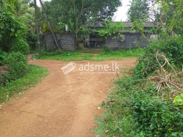 Best Price .....Residential / Agricultural land to sale in Kiriwaththuduwa , Kahathuduwa