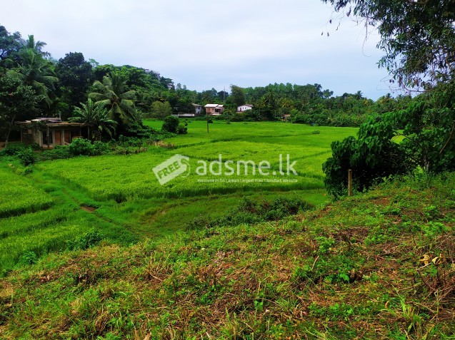 Land for sale near Millidduwa junction