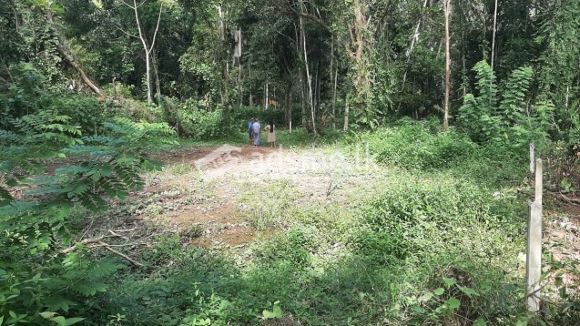 Land in matugama