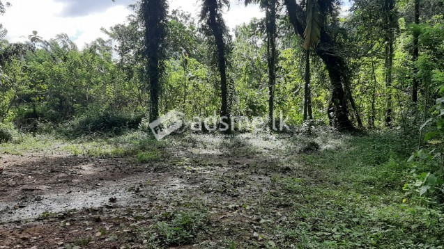Land in matugama