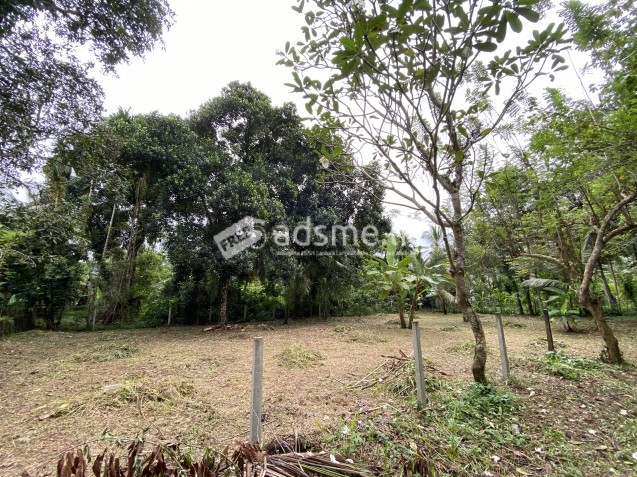 Valuable Plat Land for a House