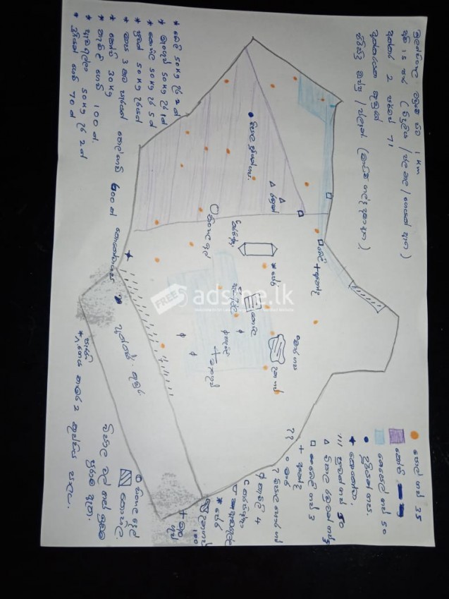 land with house sale