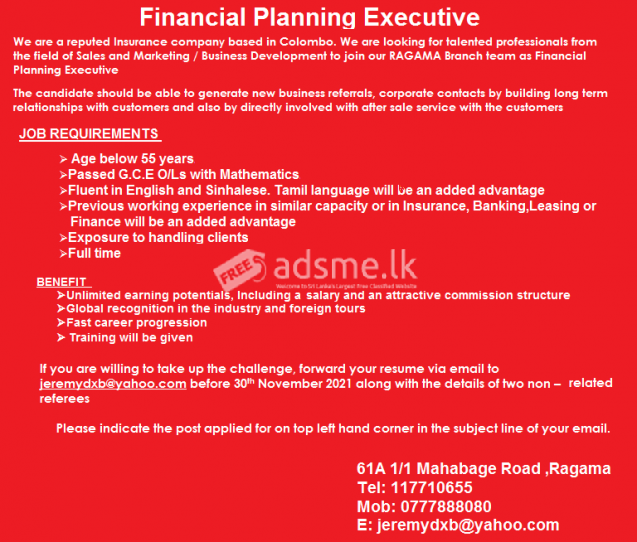 Financial Planning Executive